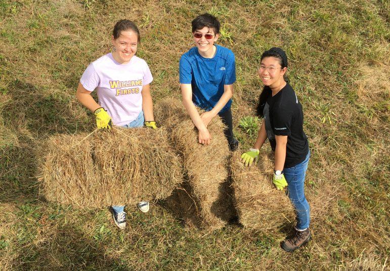 Around 200 students have volunteered at the organic-practicing Peace Valley Farm in Williamstown since the early 1990s. Photo courtesy of Marco Vallejos.