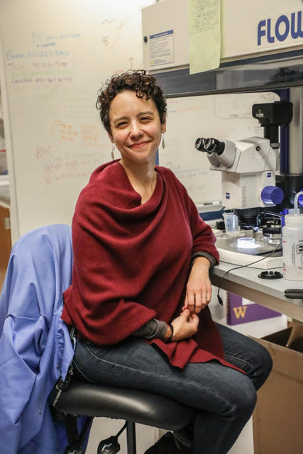 Spotlight on Research: Geosciences professor  Phoebe Cohen investigates beginning of life on Earth