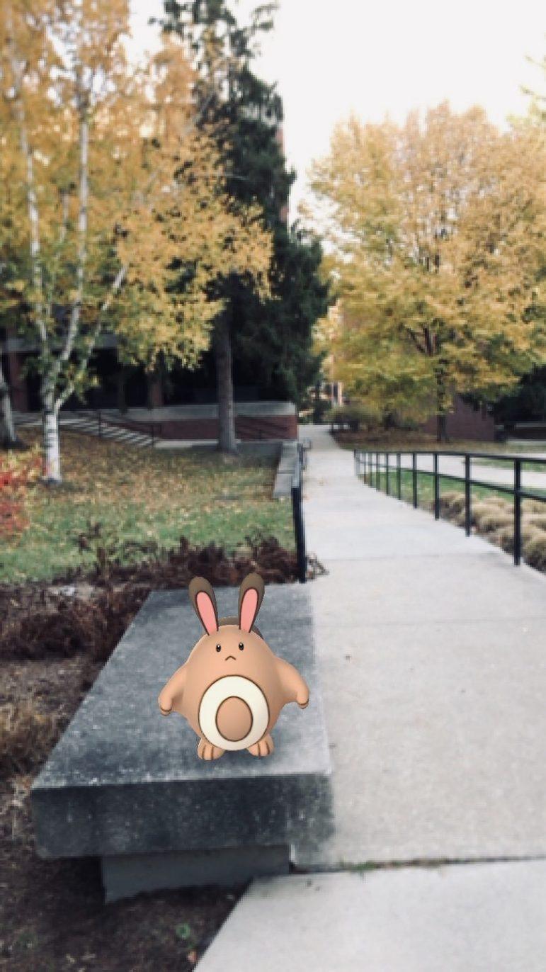 Gotta catch ‘em all: Pokémon Go trends among students