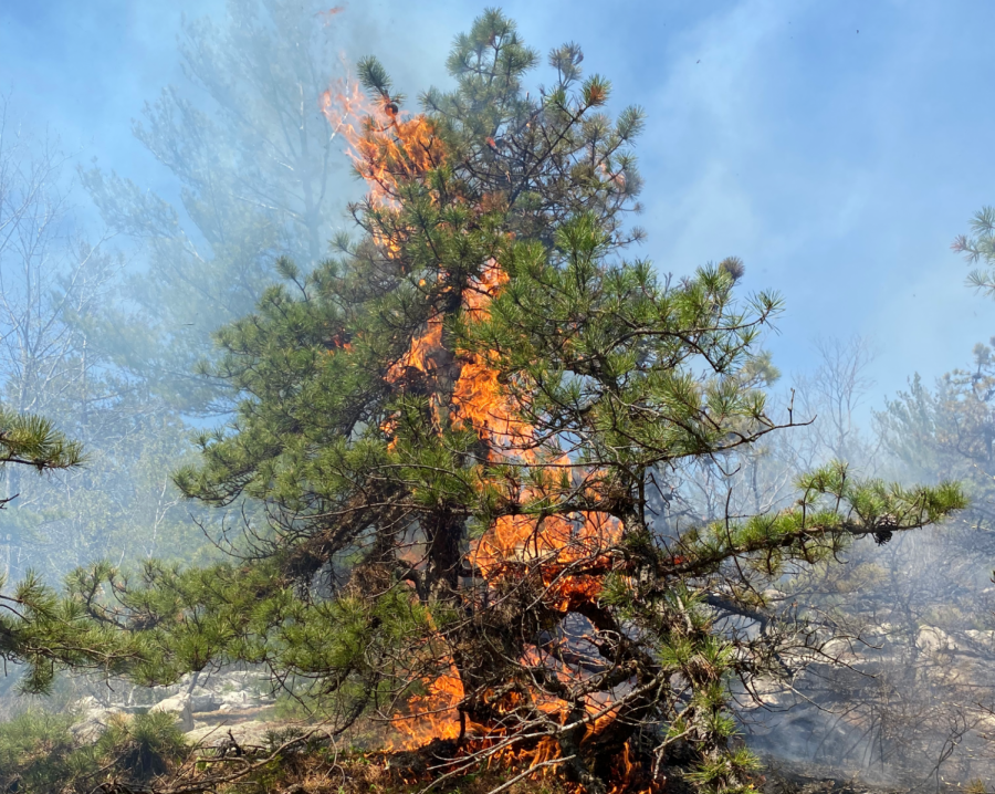 Since Friday, a wildfire has burned through over 900 acres of forest in Williamstown and Clarksburg. (Photo courtesy of Will Titus.)