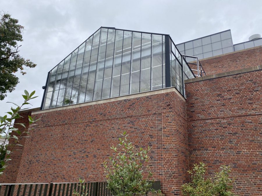 The College’s “secret” greenhouse is located at the back of the Morley Science Labs and is visible from the South Science garden. (Lindsay Wang/[ITAL]The Williams Record)