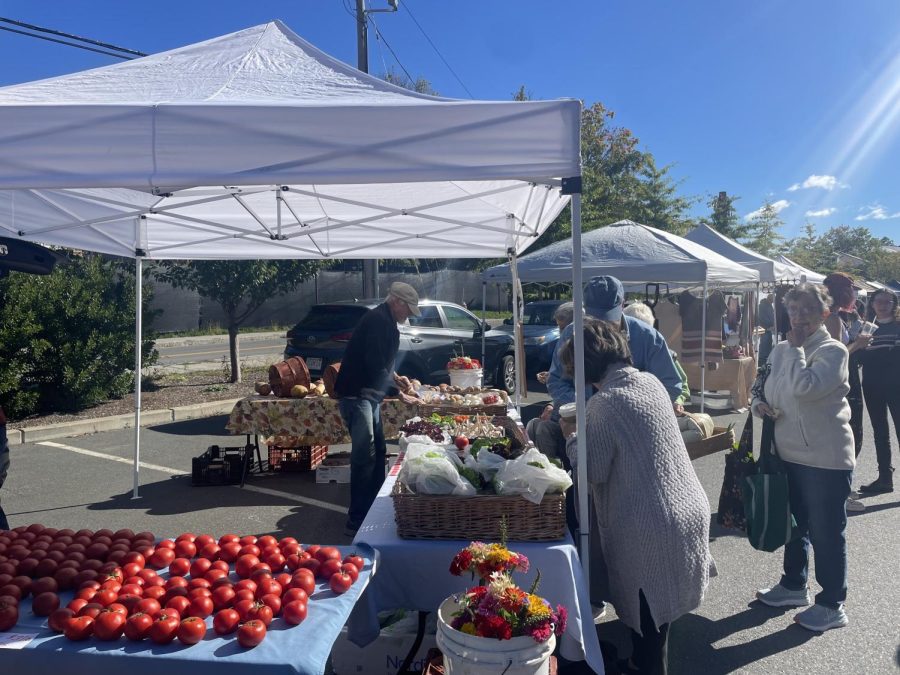 Shoppers at the Williamstown Farmers Market can purchase bright red tomatoes — among a wide selection of local produce. (_____/The Williams Record)
