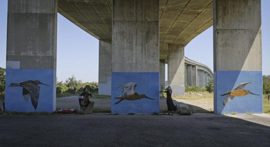 Co-founders of the Bowerbird Collective Anthony Albrecht (left) and Simone Slattery (right) perform under a highway. Photo courtesy of Mara Bun.