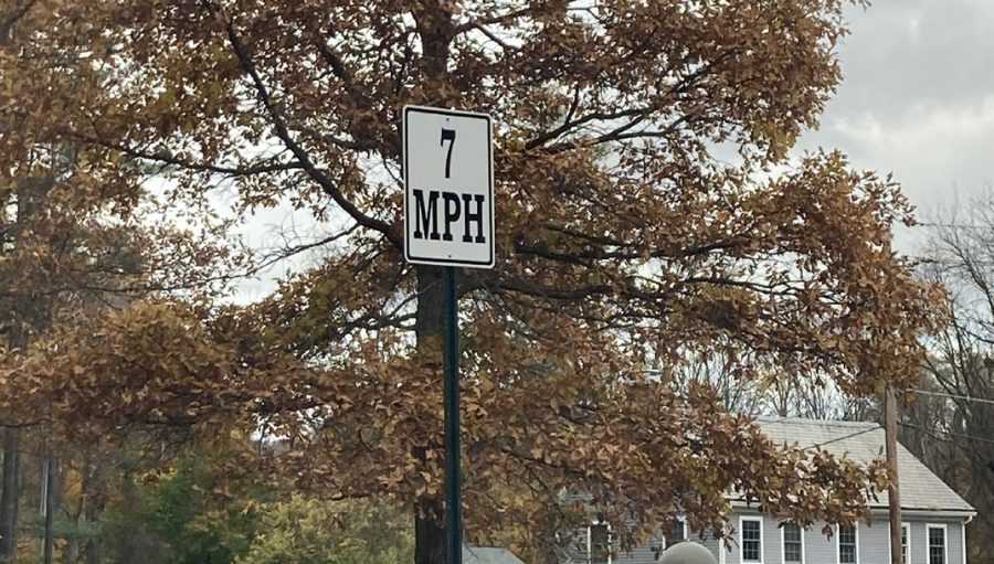 The College set the speed limit on the driveway to Tyler to 7 miles per hour. (Josh Kirshner/The Williams Record)
