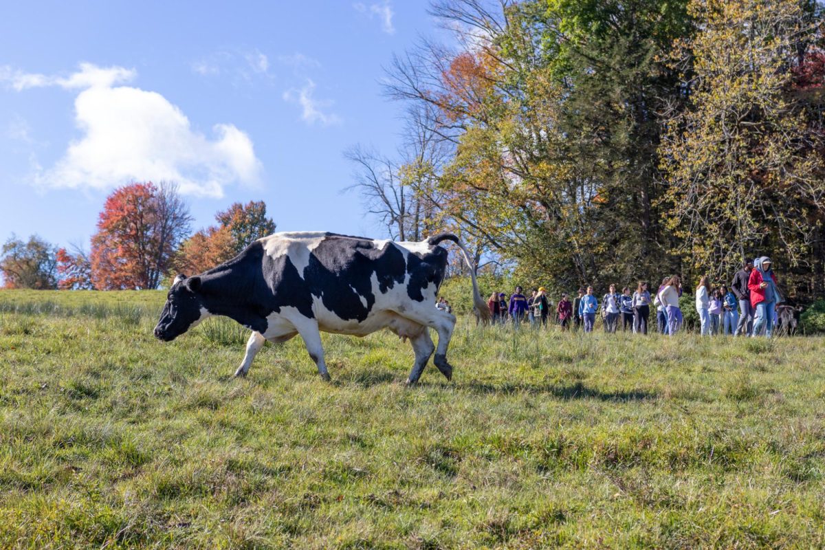 Students walked to Stone hill in the morning to watch student performances and indulge in cider donuts. (Edan Zinn/The Williams Record)
