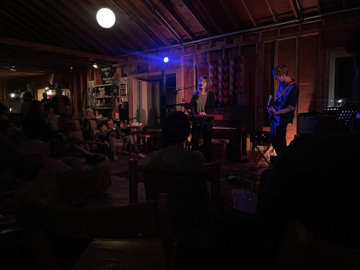 Annie Hart performed at TOURISTS on April 18. (Photo courtesy of Jeana Choi Fermi.)